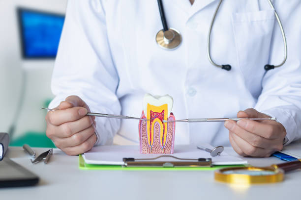 Best Emergency Orthodontic Repairs in San Anselmo, CA